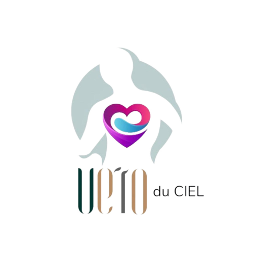 A logo of the organization veto du ciel